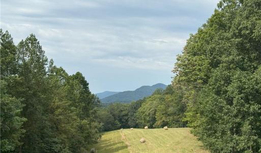 Photo #1 of 1392 Mission, Danbury, NC 18.3 acres