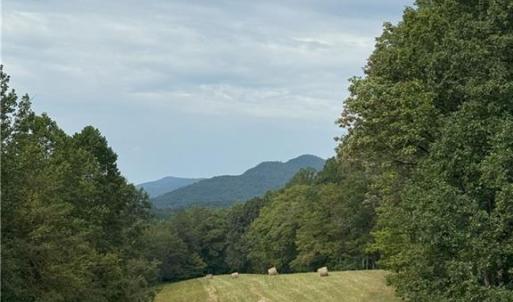 Photo #15 of 1392 Mission, Danbury, NC 18.3 acres