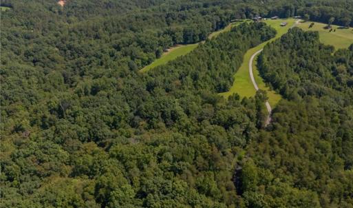 Photo #6 of 1392 Mission, Danbury, NC 18.3 acres