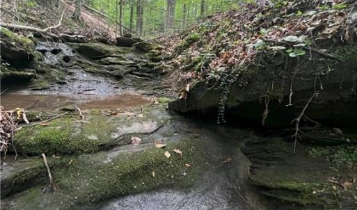 Photo #17 of 1392 Mission, Danbury, NC 18.3 acres