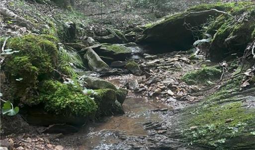 Photo #16 of 1392 Mission, Danbury, NC 18.3 acres