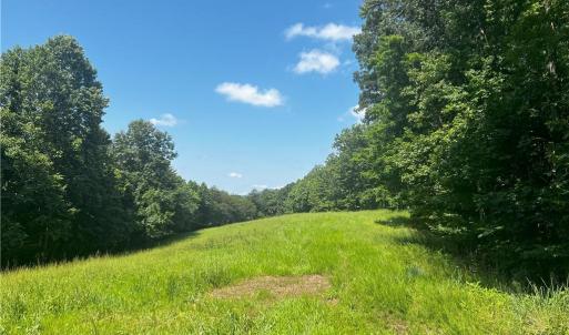 Photo #12 of 1392 Mission, Danbury, NC 18.3 acres
