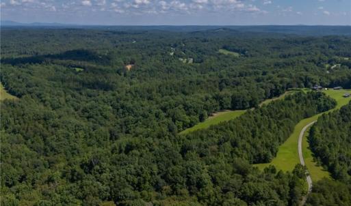 Photo #7 of 1392 Mission, Danbury, NC 18.3 acres