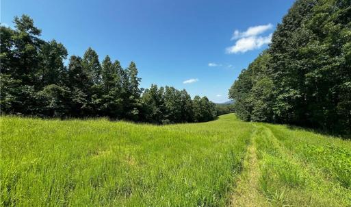 Photo #10 of 1392 Mission, Danbury, NC 18.3 acres