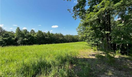 Photo #11 of 1392 Mission, Danbury, NC 18.3 acres