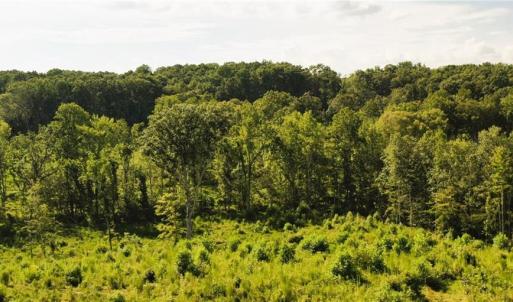 Photo #23 of Lot 7 Thayer, Trinity, NC 18.8 acres