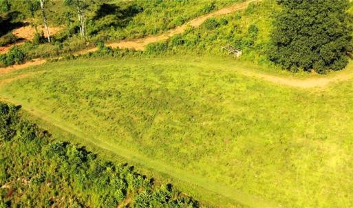 Photo #6 of Lot 7 Thayer, Trinity, NC 18.8 acres