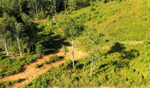 Photo #13 of Lot 7 Thayer, Trinity, NC 18.8 acres