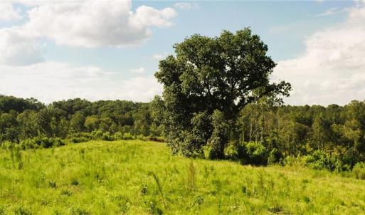 Photo #17 of Lot 7 Thayer, Trinity, NC 18.8 acres
