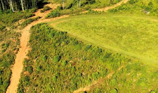 Photo #16 of Lot 7 Thayer, Trinity, NC 18.8 acres