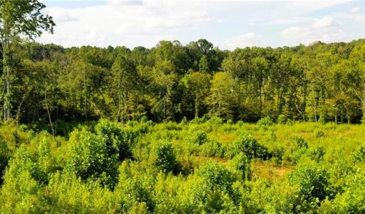 Photo #22 of Lot 7 Thayer, Trinity, NC 18.8 acres