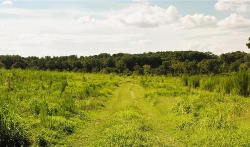 Photo #7 of Lot 7 Thayer, Trinity, NC 18.8 acres
