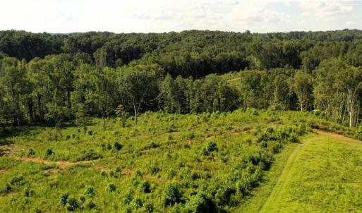 Photo #3 of Lot 7 Thayer, Trinity, NC 18.8 acres