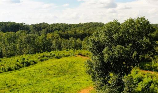 Photo #20 of Lot 7 Thayer, Trinity, NC 18.8 acres