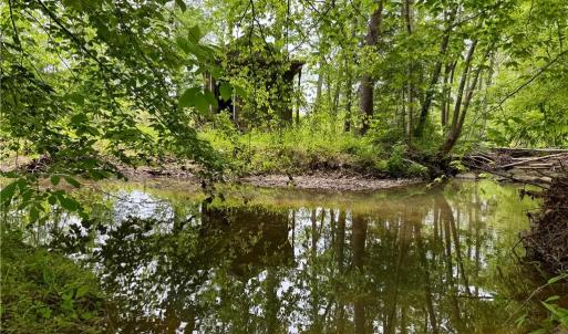 Photo #9 of Lot 7 Thayer, Trinity, NC 18.8 acres