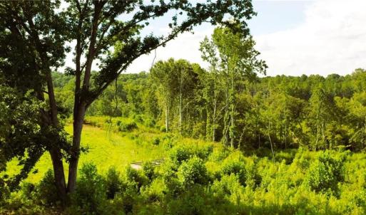Photo #18 of Lot 7 Thayer, Trinity, NC 18.8 acres