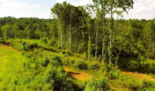 Photo #8 of Lot 7 Thayer, Trinity, NC 18.8 acres