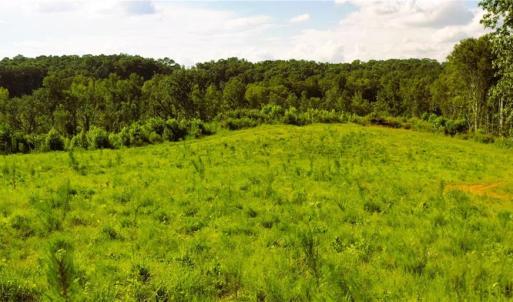 Photo #21 of Lot 7 Thayer, Trinity, NC 18.8 acres