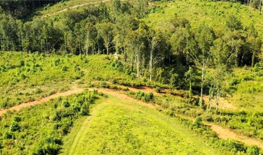 Photo #2 of Lot 7 Thayer, Trinity, NC 18.8 acres