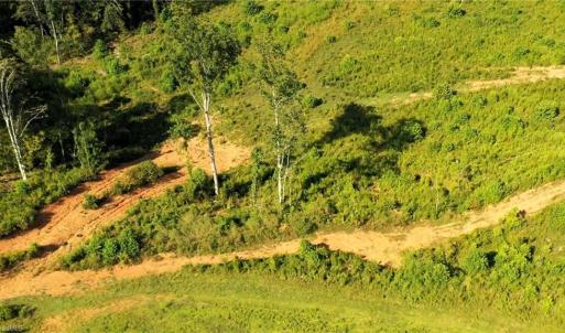 Photo #17 of Lot 7 Thayer, Trinity, NC 18.8 acres