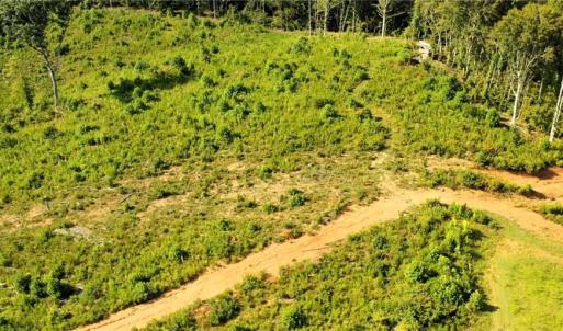 Photo #20 of Lot 7 Thayer, Trinity, NC 18.8 acres