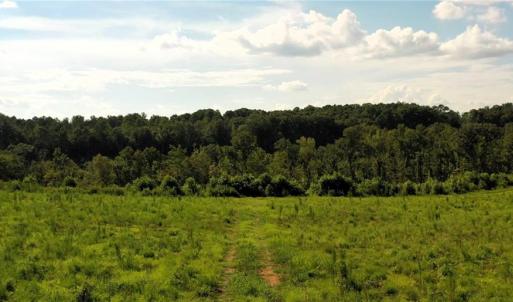 Photo #18 of Lot 7 Thayer, Trinity, NC 18.8 acres