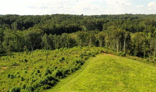 Photo #11 of Lot 7 Thayer, Trinity, NC 18.8 acres