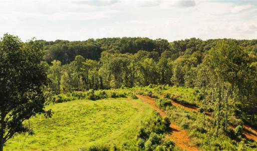 Photo #25 of Lot 7 Thayer, Trinity, NC 18.8 acres