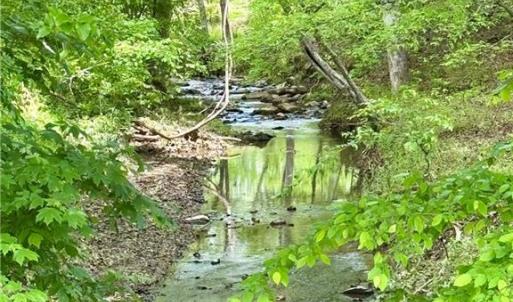 Photo #10 of Lot 7 Thayer, Trinity, NC 18.8 acres