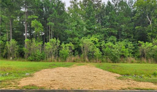 Photo #3 of 1278 Cedar Grove, Pittsboro, NC 2.1 acres