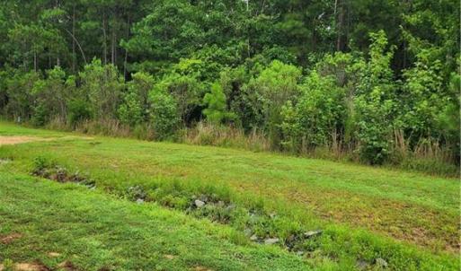 Photo #5 of 1278 Cedar Grove, Pittsboro, NC 2.1 acres