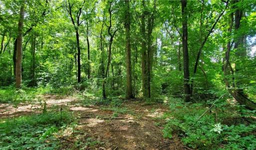 Photo #3 of 3929 US Highway 64, Mocksville, NC 0.9 acres