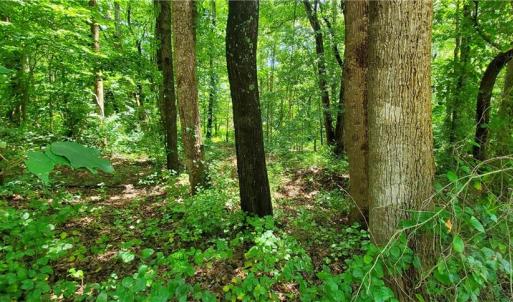 Photo #2 of 3939 US Highway 64, Mocksville, NC 0.8 acres
