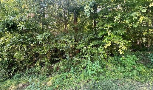 Photo #2 of Sir Abbott, Lexington, NC 0.2 acres