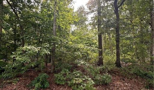 Photo #1 of Sir Abbott, Lexington, NC 0.2 acres