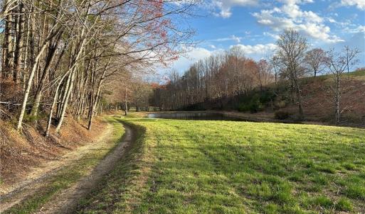 Photo #7 of TBD IKE SLATE LANE, Ararat, VA 27.0 acres