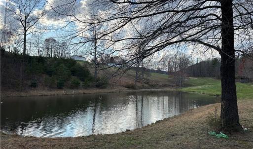 Photo #13 of TBD IKE SLATE LANE, Ararat, VA 27.0 acres