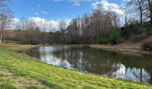 Photo #1 of TBD IKE SLATE LANE, Ararat, VA 27.0 acres