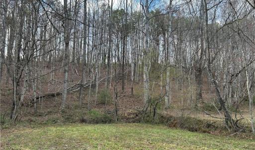 Photo #18 of TBD IKE SLATE LANE, Ararat, VA 27.0 acres
