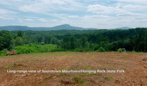 Photo #27 of Ellis Lawson, Danbury, NC 15.8 acres