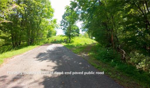 Photo #16 of Ellis Lawson, Danbury, NC 15.8 acres