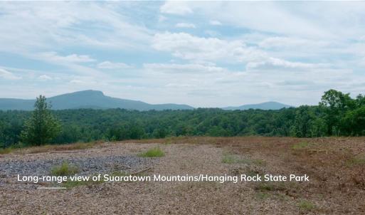 Photo #26 of Ellis Lawson, Danbury, NC 15.8 acres