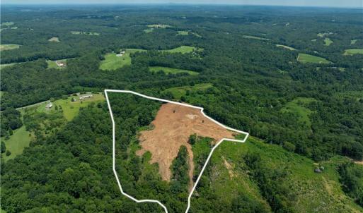 Photo #7 of Ellis Lawson, Danbury, NC 15.8 acres