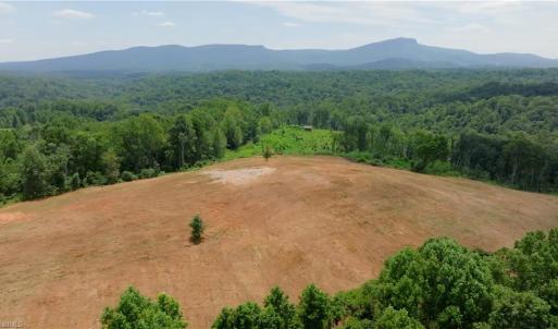 Photo #3 of Ellis Lawson, Danbury, NC 15.8 acres