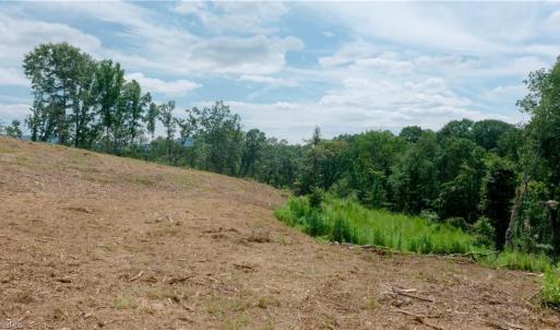 Photo #32 of Ellis Lawson, Danbury, NC 15.8 acres