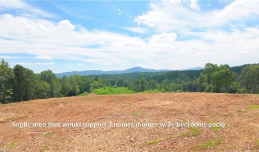 Photo #1 of Ellis Lawson, Danbury, NC 15.8 acres