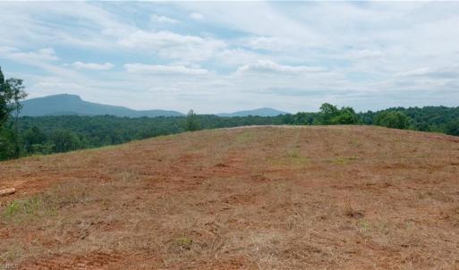 Photo #28 of Ellis Lawson, Danbury, NC 15.8 acres