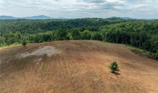 Photo #9 of Ellis Lawson, Danbury, NC 15.8 acres