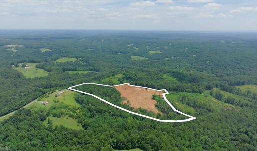 Photo #24 of Ellis Lawson, Danbury, NC 15.8 acres