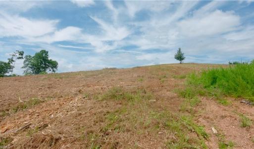 Photo #30 of Ellis Lawson, Danbury, NC 15.8 acres